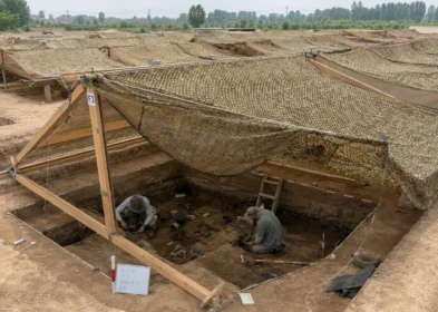 Erlitou archaeological excavation protected with camouflage net covering