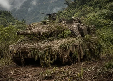 Mountain equipment concealed with vegetation camouflage netting