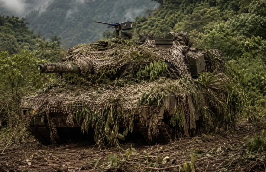 Mountain equipment concealed with vegetation camouflage netting